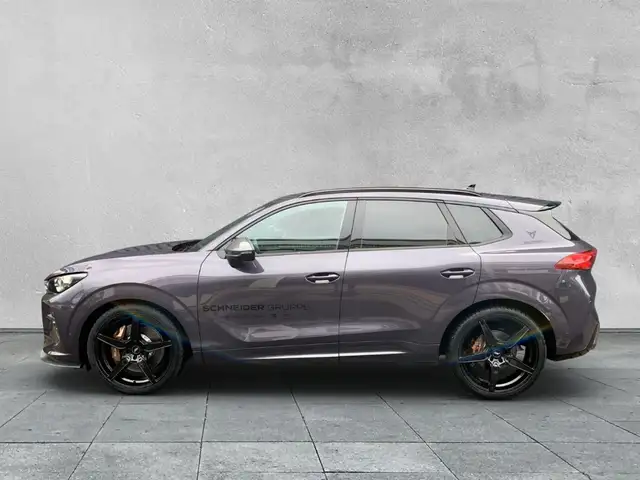 Cupra Terramar view 2