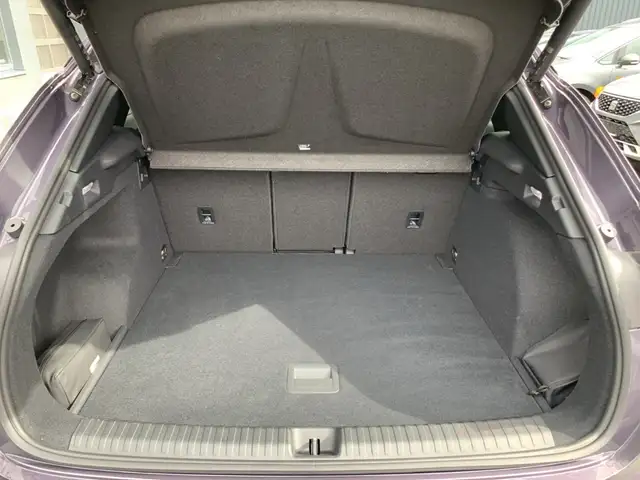 Cupra Terramar view 12