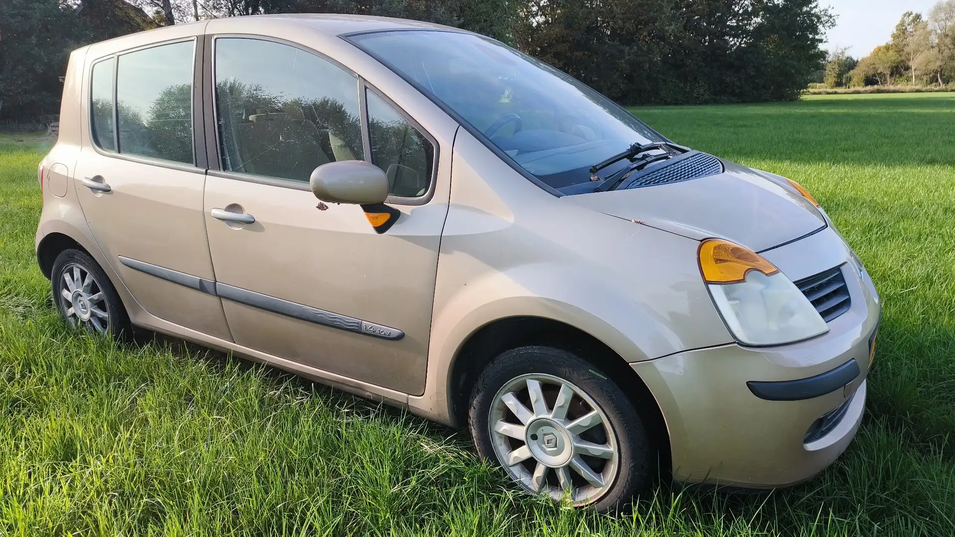 Renault Modus 1.4-16V Team Spirit Goud - 1