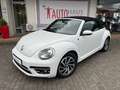 Volkswagen Beetle The Beetle Cabriolet 1.4 TSI Sound - Navi, PDC, Al Weiß - thumbnail 6