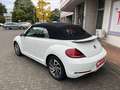 Volkswagen Beetle The Beetle Cabriolet 1.4 TSI Sound - Navi, PDC, Al Weiß - thumbnail 8