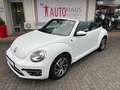 Volkswagen Beetle The Beetle Cabriolet 1.4 TSI Sound - Navi, PDC, Al Weiß - thumbnail 9
