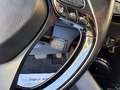 Toyota C-HR 125H Style Plus Burdeos - thumbnail 12