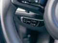 Porsche Cayenne E-Hybrid Grau - thumbnail 19