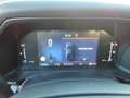 Ford Ranger Wildtrak DoKa e-4WD Automatik. 2.0 Grau - thumbnail 11
