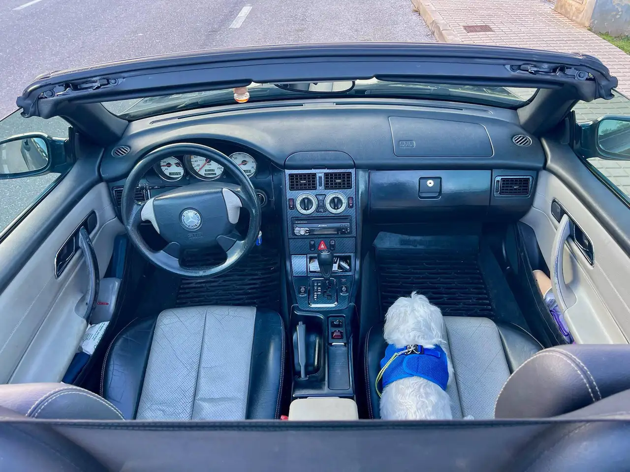 Mercedes-Benz SLK 230, foto 8
