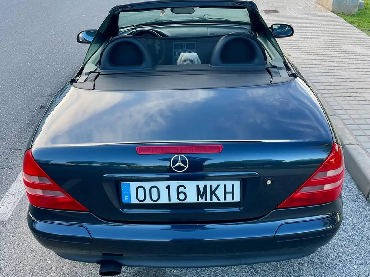 Mercedes-Benz SLK 230, foto 6
