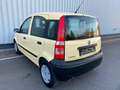 Fiat Panda Active  1.Hand Zahnriemen+Reifen+TÜV NEU Yellow - thumbnail 5