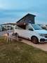 Volkswagen T6.1 California DSG 4MOTION Ocean Edition Blanc - thumbnail 1