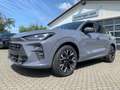 CUPRA Terramar DSG AHK HeadUp App 2+3-Garantie SOFORT Gri - thumbnail 19
