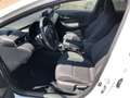 Suzuki Swace 1.8 HYBRID Automatik Comfort+ Bílá - thumbnail 12