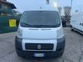 Fiat Ducato 2.3 mjet PL - TETTO ALTO Blanc - thumbnail 2