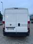 Fiat Ducato 2.3 mjet PL - TETTO ALTO Blanc - thumbnail 5