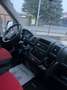 Fiat Ducato 2.3 mjet PL - TETTO ALTO Blanc - thumbnail 11