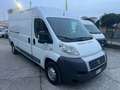 Fiat Ducato 2.3 mjet PL - TETTO ALTO Blanc - thumbnail 3