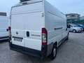 Fiat Ducato 2.3 mjet PL - TETTO ALTO Blanc - thumbnail 6