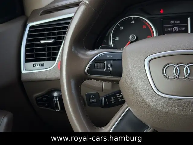 Audi Q5 view 19