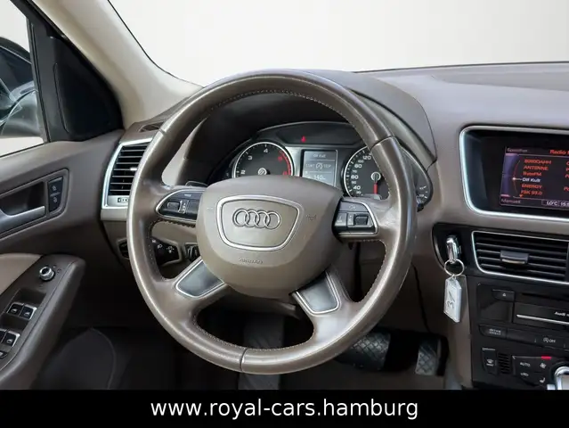 Audi Q5 view 18