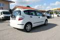 Honda Jazz 1.2 66 KW TÜV NEU SERVICE NEU Weiß - thumbnail 4