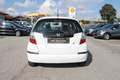 Honda Jazz 1.2 66 KW TÜV NEU SERVICE NEU Weiß - thumbnail 5