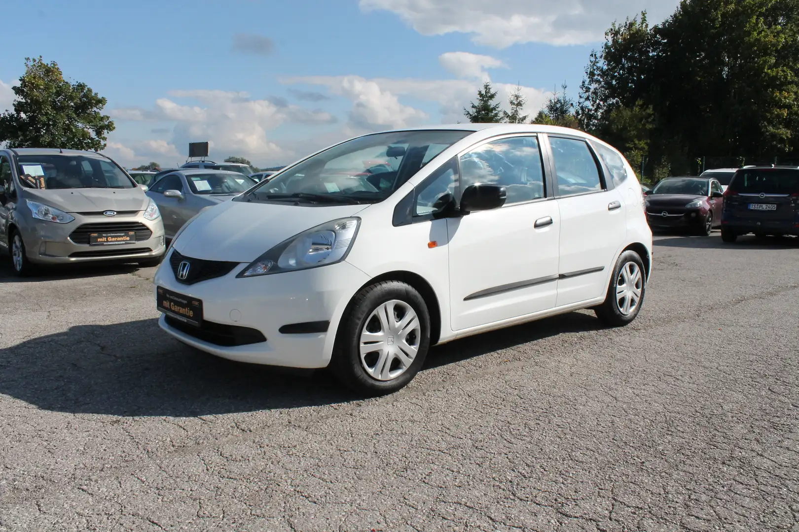 Honda Jazz 1.2 66 KW TÜV NEU SERVICE NEU Weiß - 1