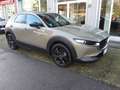 Mazda CX-30 2.5 e-Skyactiv-G 140cv M Hybrid Homura *AZIENDALE* Beige - thumbnail 4