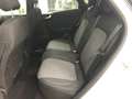 Ford Puma 1.5 EcoBlue 120 CV S&S Titanium X Weiß - thumbnail 9