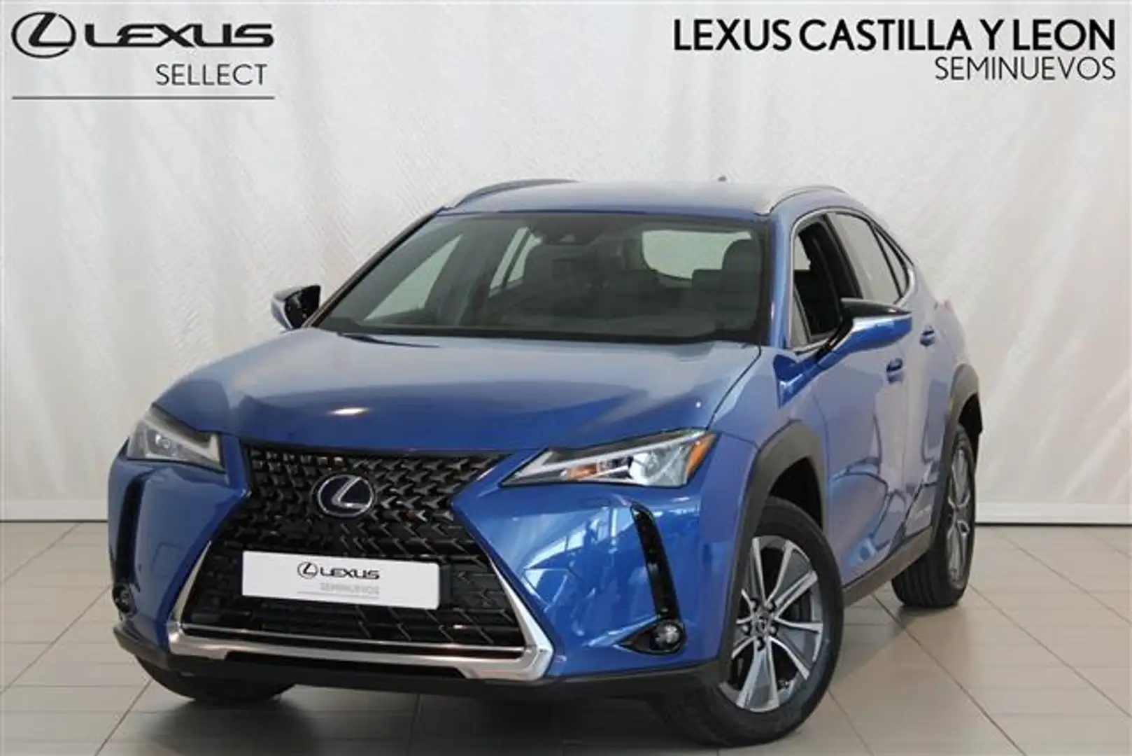 Lexus UX 300e Business - 1