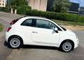 Fiat 500 1.0 69CV CLUB BVA Blanc - thumbnail 2