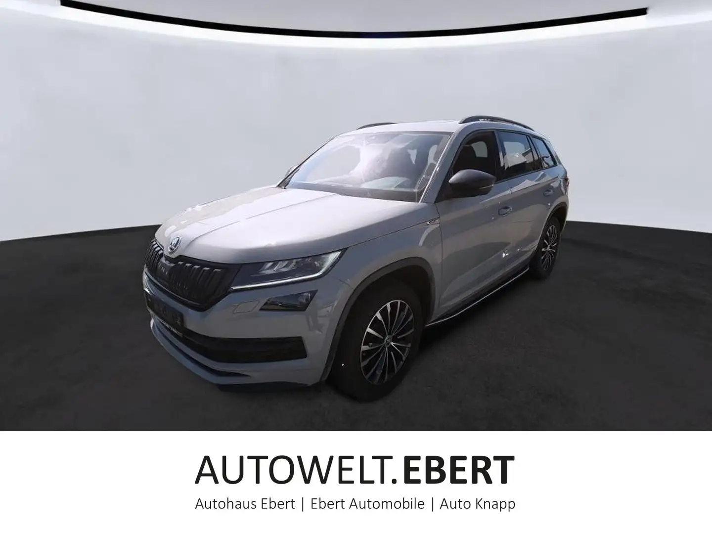 Skoda Kodiaq 2.0 TDI Sportline 4x4/PANO/AHK/ACC/360°KA Gris - 1