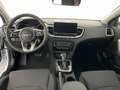 Kia Ceed / cee'd Ceed SW Top 1.5 T-GDI  *NAVI*ACC*LED*SHZ*PDC* Weiß - thumbnail 14