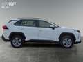 Toyota RAV 4 RAV4 - 2.5 Business Edition NAVI*KLIMA*RFK*ACC* Weiß - thumbnail 7