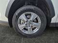 Toyota RAV 4 RAV4 - 2.5 Business Edition NAVI*KLIMA*RFK*ACC* Weiß - thumbnail 15