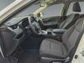Toyota RAV 4 RAV4 - 2.5 Business Edition NAVI*KLIMA*RFK*ACC* Weiß - thumbnail 10