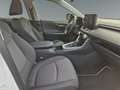 Toyota RAV 4 RAV4 - 2.5 Business Edition NAVI*KLIMA*RFK*ACC* Weiß - thumbnail 16