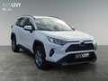 Toyota RAV 4 RAV4 - 2.5 Business Edition NAVI*KLIMA*RFK*ACC* Weiß - thumbnail 8
