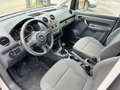 Volkswagen Caddy 1.6 TDI Kasten EcoProfi *Klima - Regale* Weiß - thumbnail 7