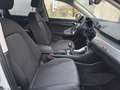 Audi Q3 Q3 II 2018 35 1.5 tfsi Business Advanced Weiß - thumbnail 18