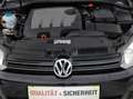 Volkswagen Golf Cabriolet Golf Cabrio Sky BMT 1,6 TDI DPF*PARK PILOT*XENO... Schwarz - thumbnail 11