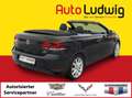 Volkswagen Golf Cabriolet Golf Cabrio Sky BMT 1,6 TDI DPF*PARK PILOT*XENO... Schwarz - thumbnail 2