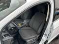 Ford Kuga Cool & Connect Weiß - thumbnail 11