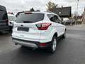 Ford Kuga Cool & Connect Weiß - thumbnail 4