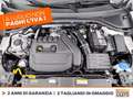 Volkswagen T-Roc 1.5 tsi life dsg Bianco - thumbnail 14