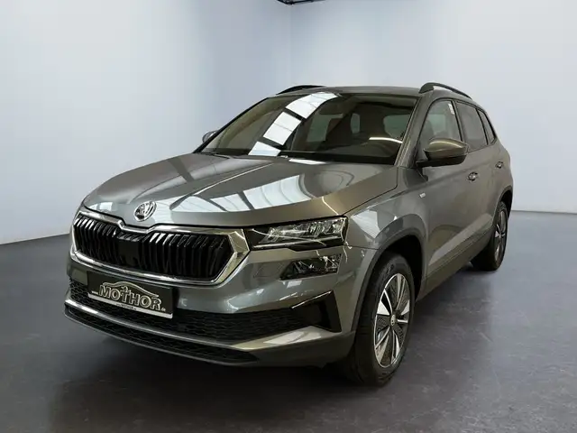 Skoda Karoq view 2