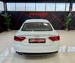 Audi A5 SB 2.0TDI S line edition Mult. 190 Blanco - thumbnail 9