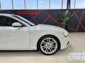 Audi A5 SB 2.0TDI S line edition Mult. 190 Blanco - thumbnail 6
