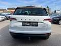 Skoda Karoq 2,0 TDI DSG | AHK*ACC Weiß - thumbnail 4