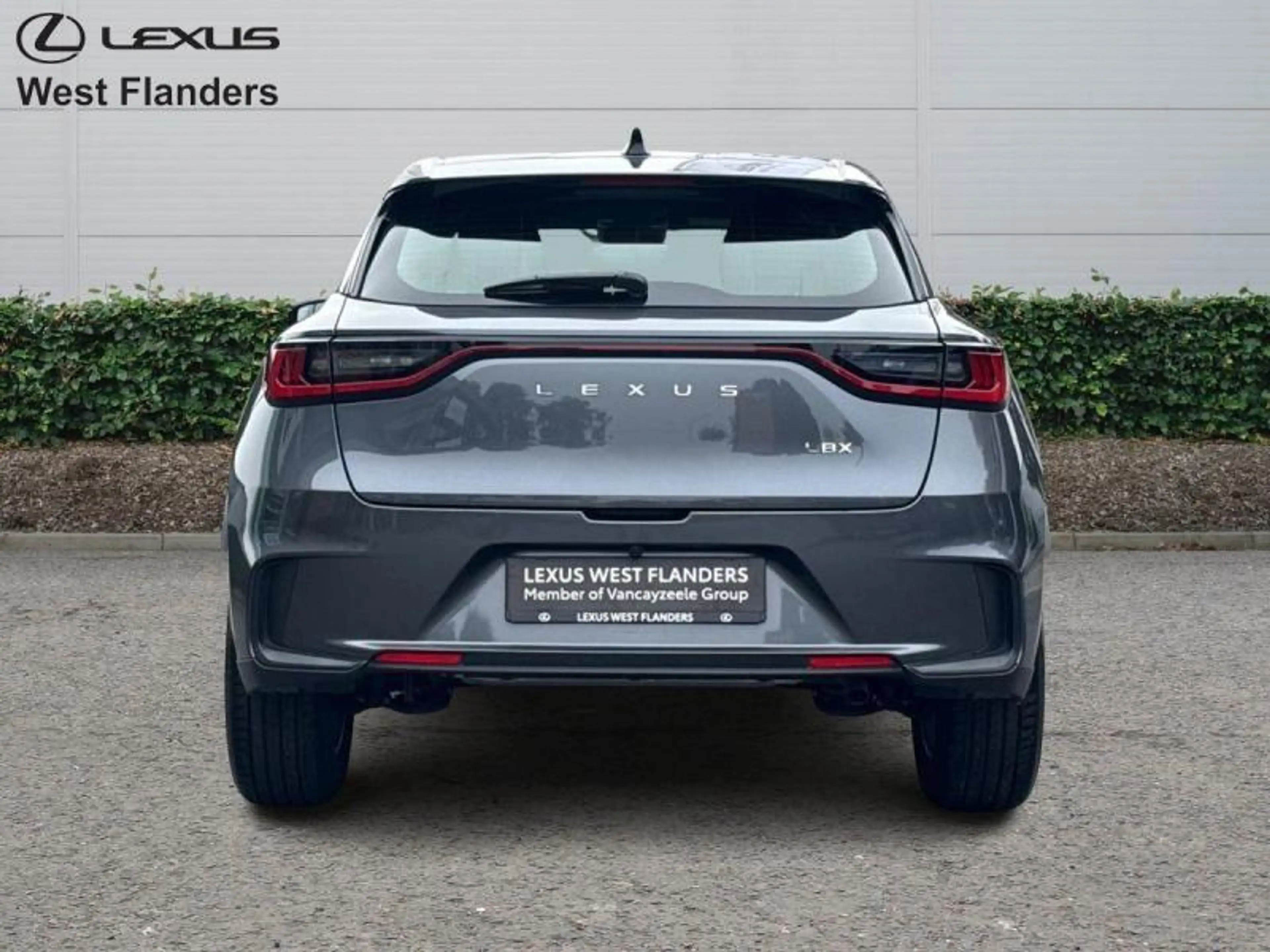 Lexus LBX Base+camera+dab+17inch alu velgen — photo 6