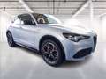 Alfa Romeo Stelvio 2.2 t Veloce Q4 210cv auto Grau - thumbnail 1