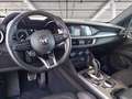 Alfa Romeo Stelvio 2.2 t Veloce Q4 210cv auto Grau - thumbnail 13